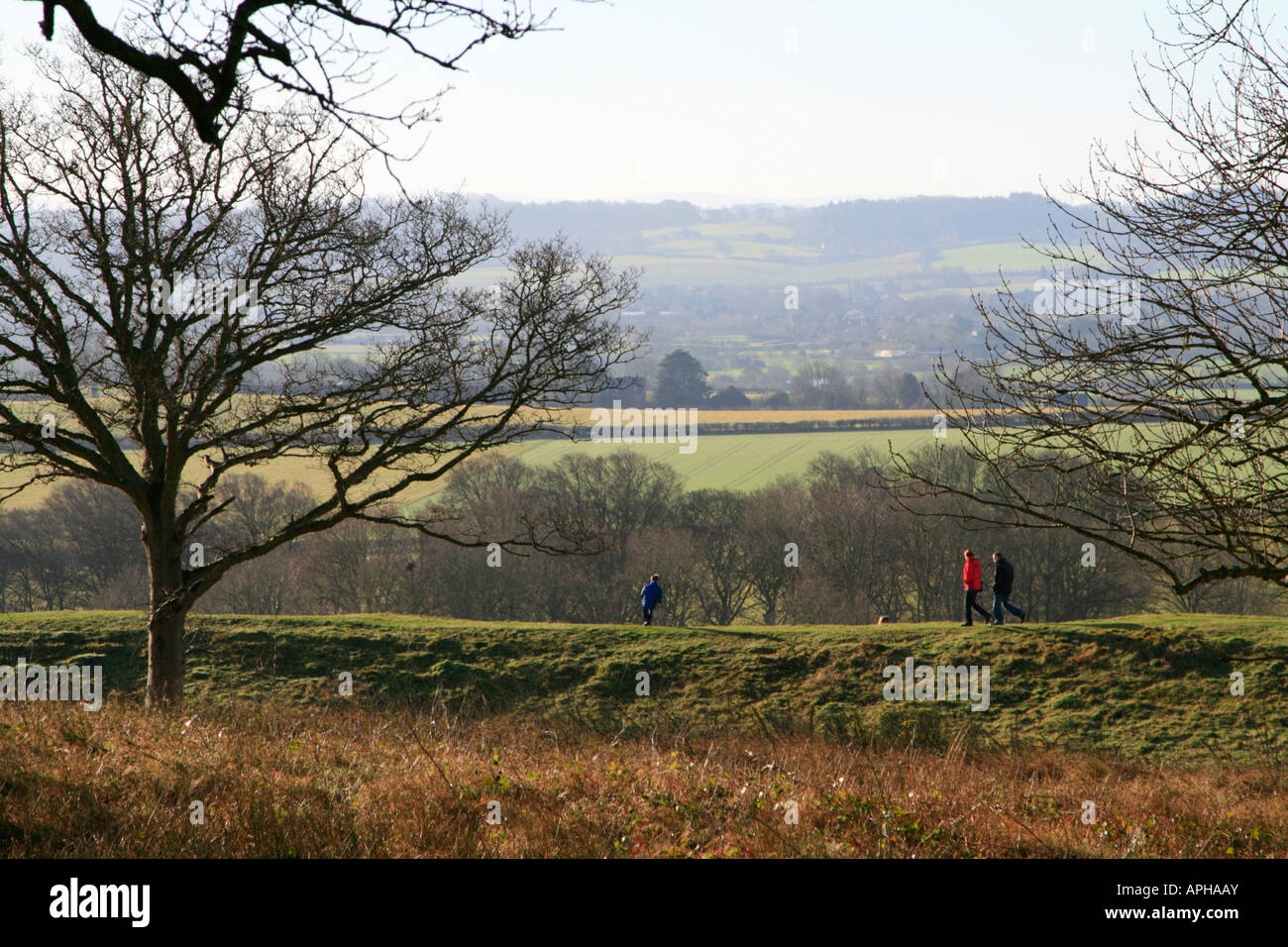 Badbury Rings is an Iron Age hill fort in east Dorset, England uk gb ...