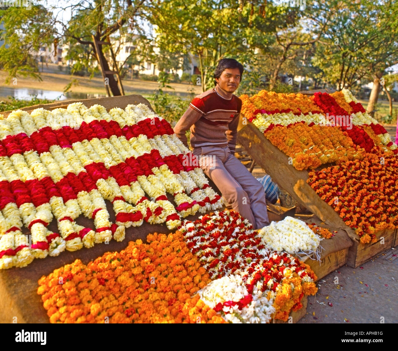 Street flower seller in Delhi, India Stock Photo Alamy