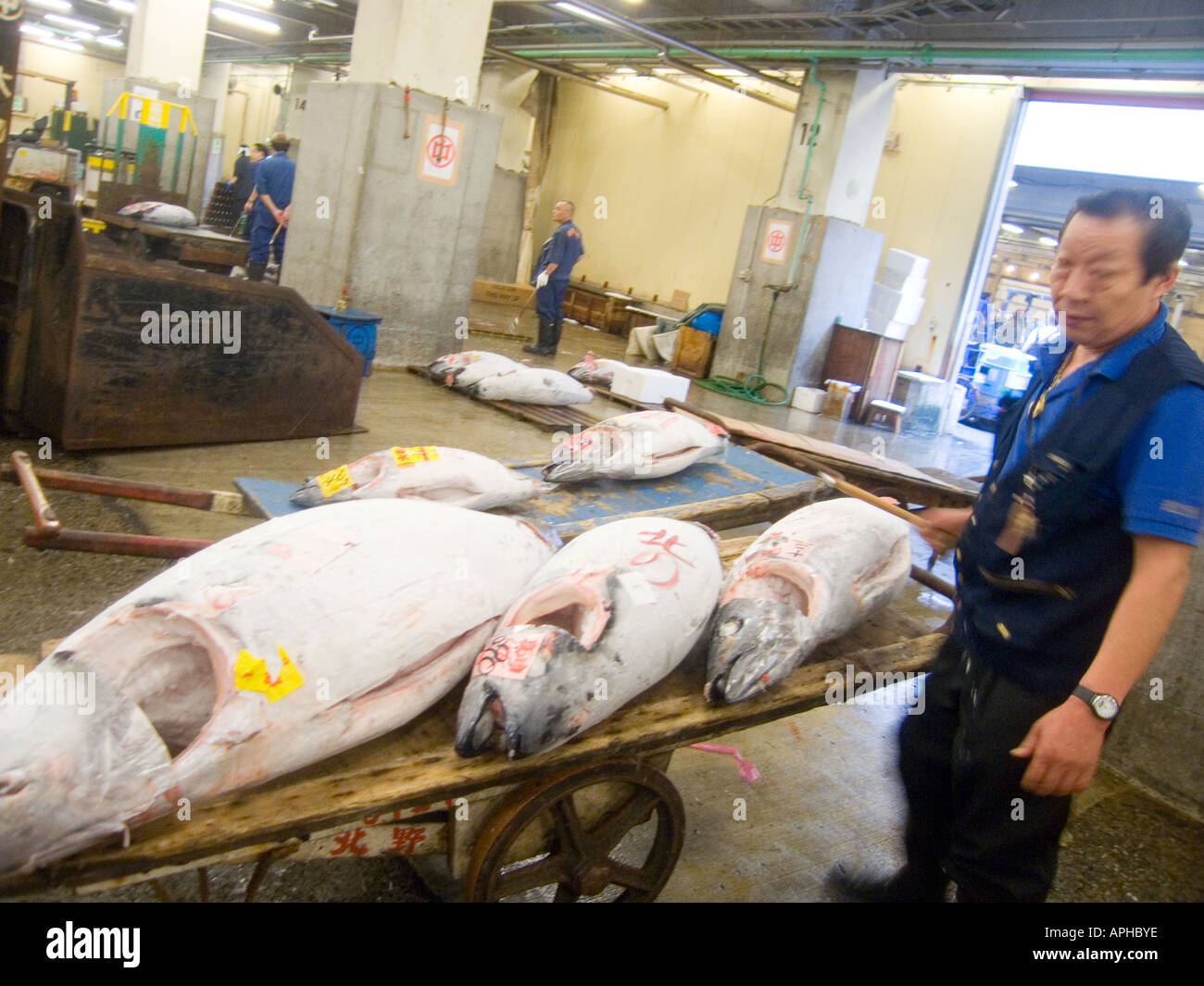 japan tokyo tsukiji fish market worker moving tuna Stock Photo - Alamy