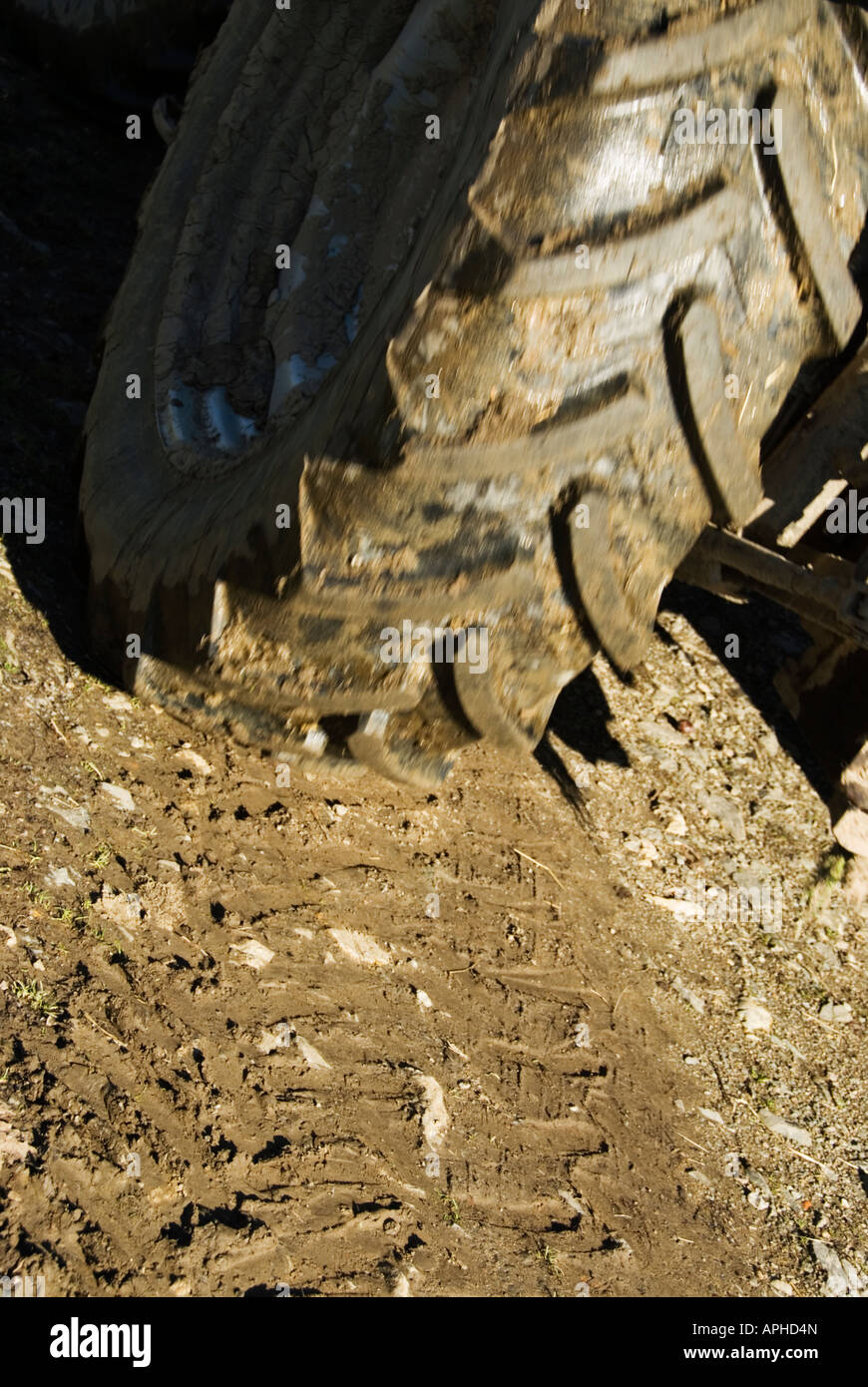 Stock Photo of the imprint from a large tractors wheel in the mud Stock Photo