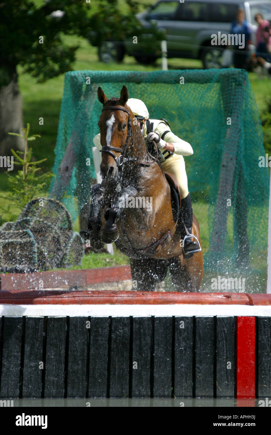 Cross country rider taking jump Stock Photo Alamy