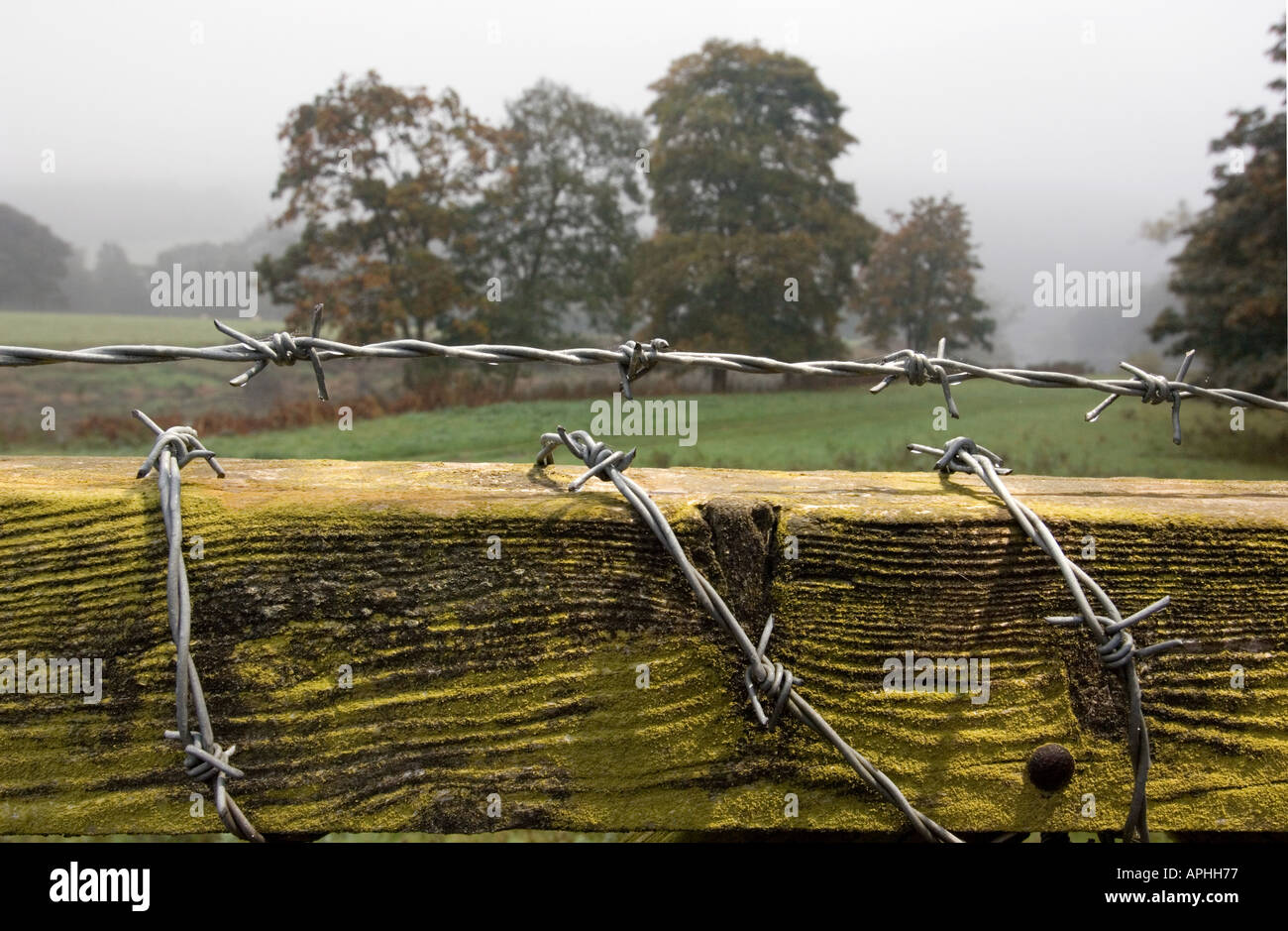 Barbed wire around fence and gate denying access Stock Photo