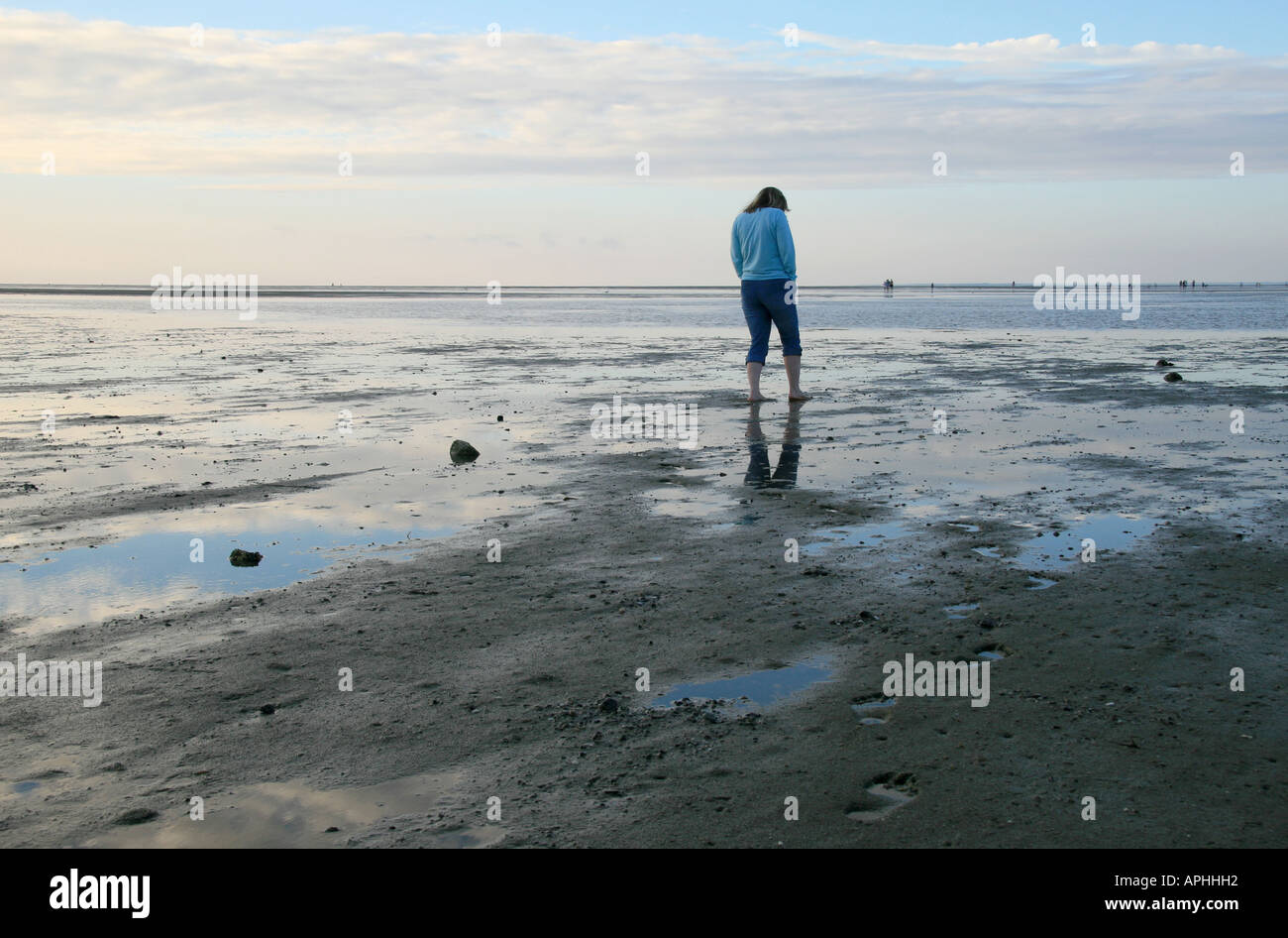 Walking On The Brewster Flats At Sunset Stock Photo Alamy