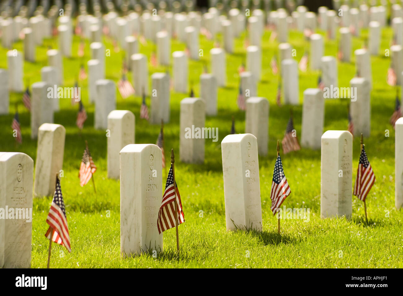 Rows of headstones with american flags in Arlington National Cemetery