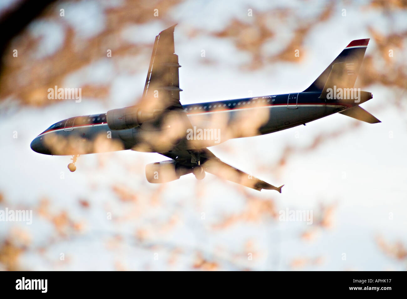 Reagan National Airport. Low flying airplane seen through cherry