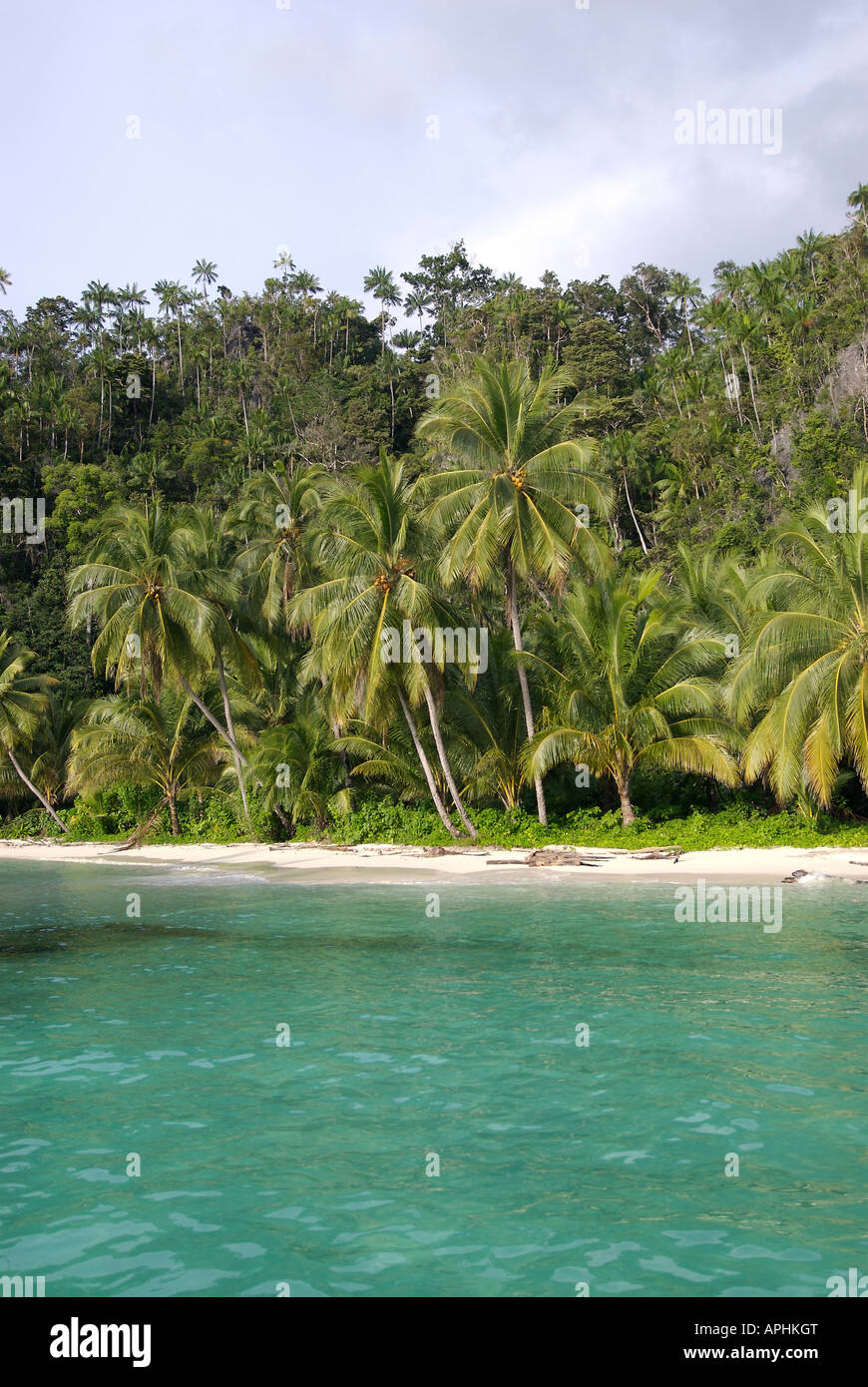 Tropical Indonesian jungle leading to pristine beaches in the Triton Bay region of Irian Jaya Indonesia Stock Photo