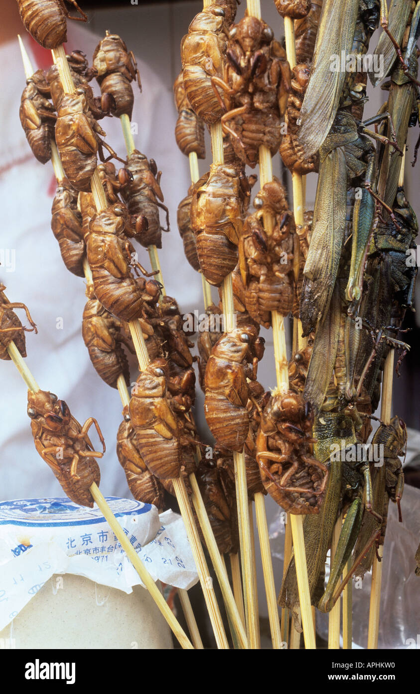 Detail of Locust kebabs at Wanfujing Snack Street in Beijing Stock Photo