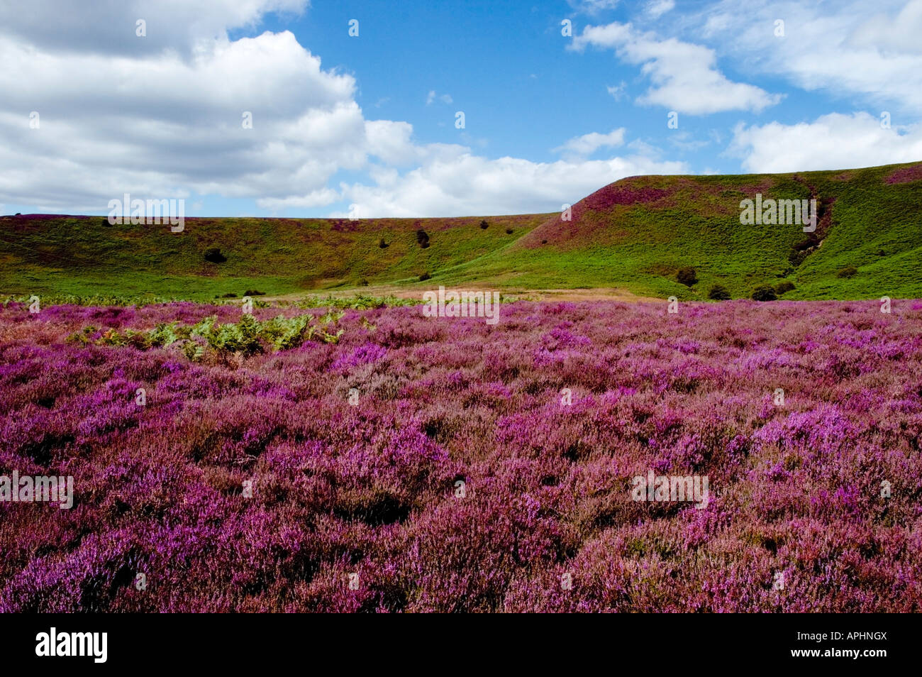 Hole of Horcum North Yorkshire United Kingdom Stock Photo