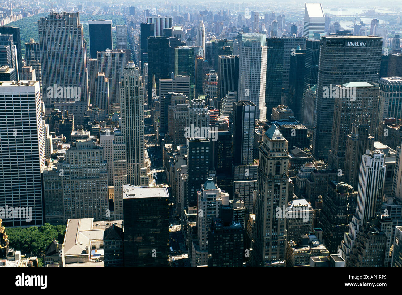 view from the empire state building summary