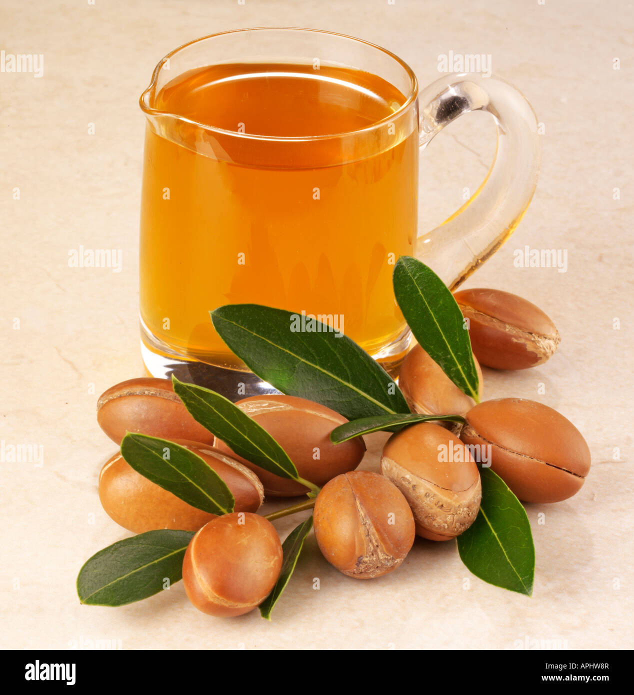 ARGAN OIL AND NUTS Stock Photo
