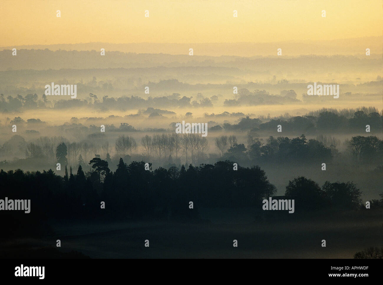 View from Box Hill in the early morning Surrey England Stock Photo