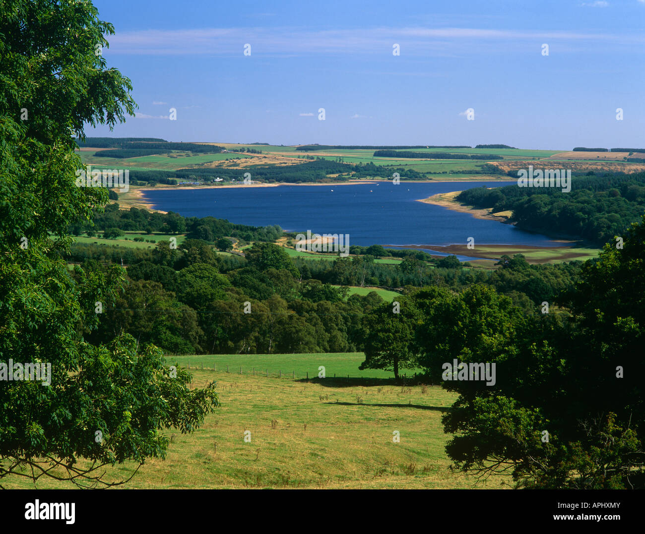 Derwent Reservoir, near Blanchland, Northumberland Stock Photo