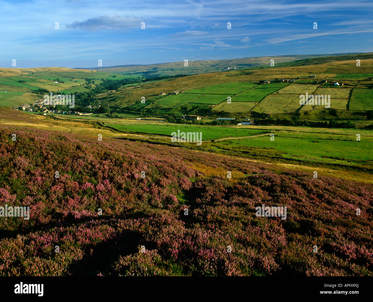 Heather moorland in Weardale overlooking Rookhope village, North Pennines, County Durham Stock Photo