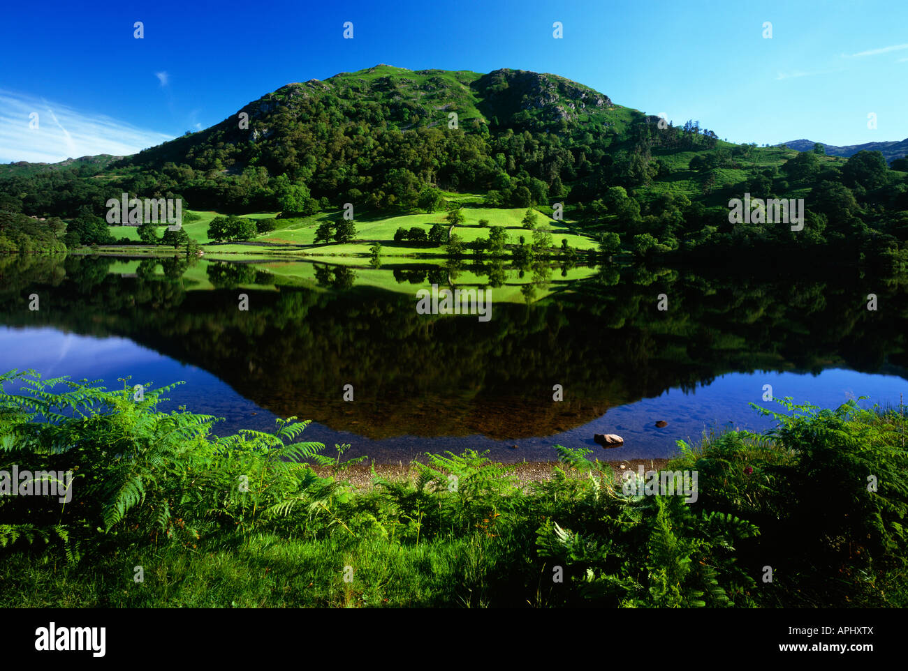 Early Morning Summer Reflections In Rydal Water Near Ambleside Lake early-morning-summer-reflections-in-rydal-water-near-ambleside-lake