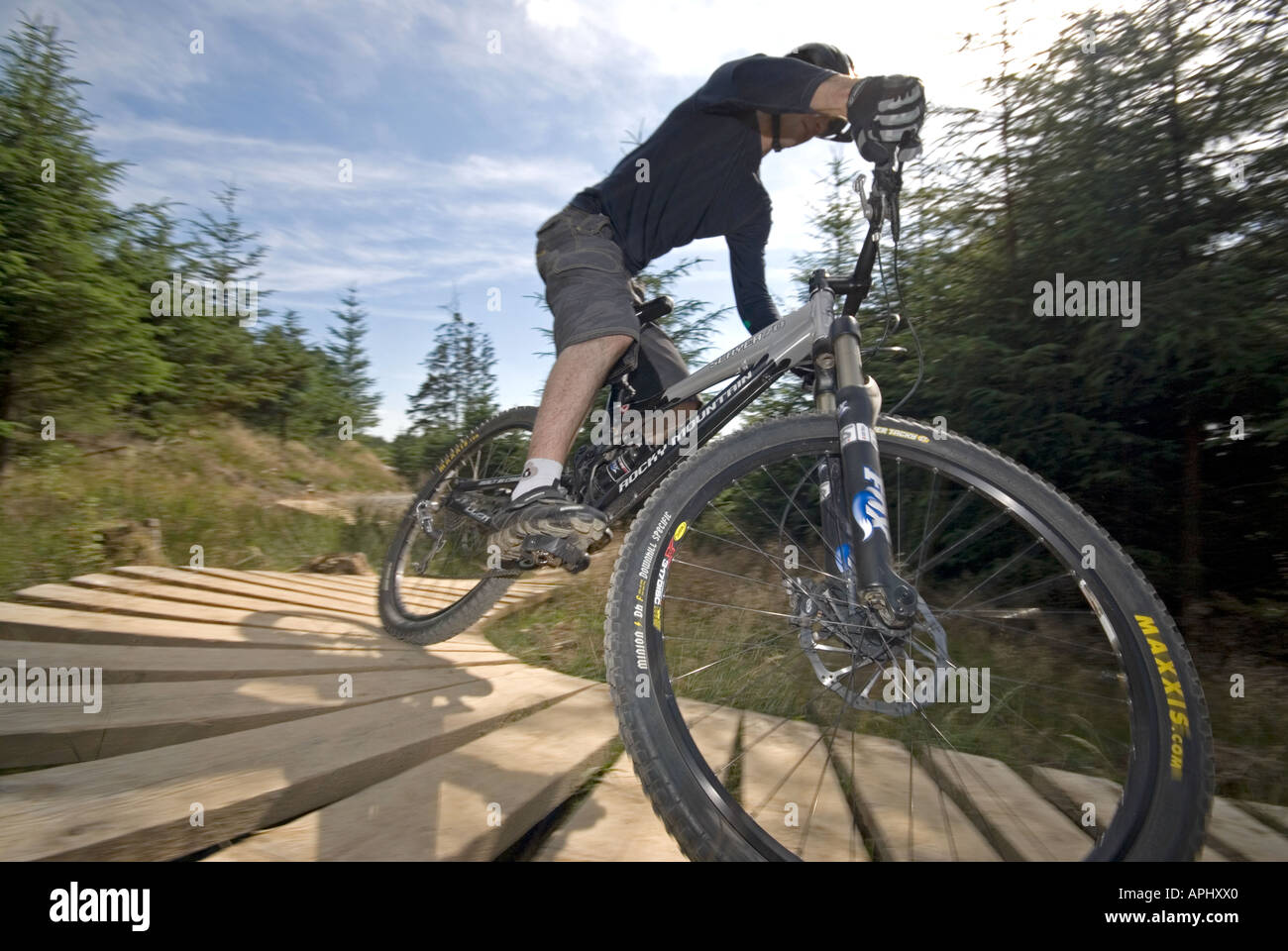 Mountain bikers on the north face trail at Grizedale Forest in the Lake  District England Stock Photo - Alamy