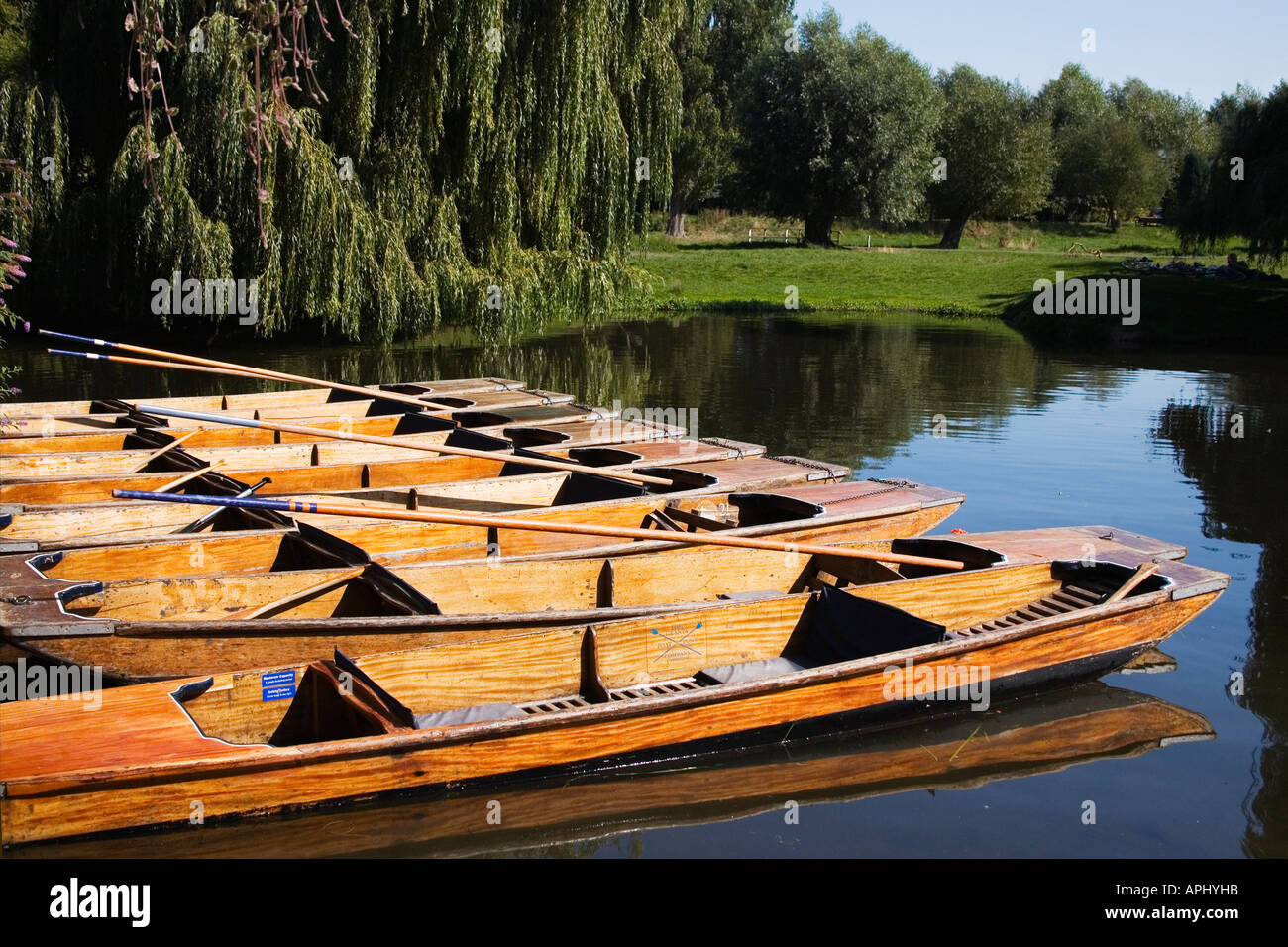 Punts on the River Cam in summer sun sunshine Cambridge Cambridgeshire East Anglia England UK United Kingdom GB Great Britain Br Stock Photo