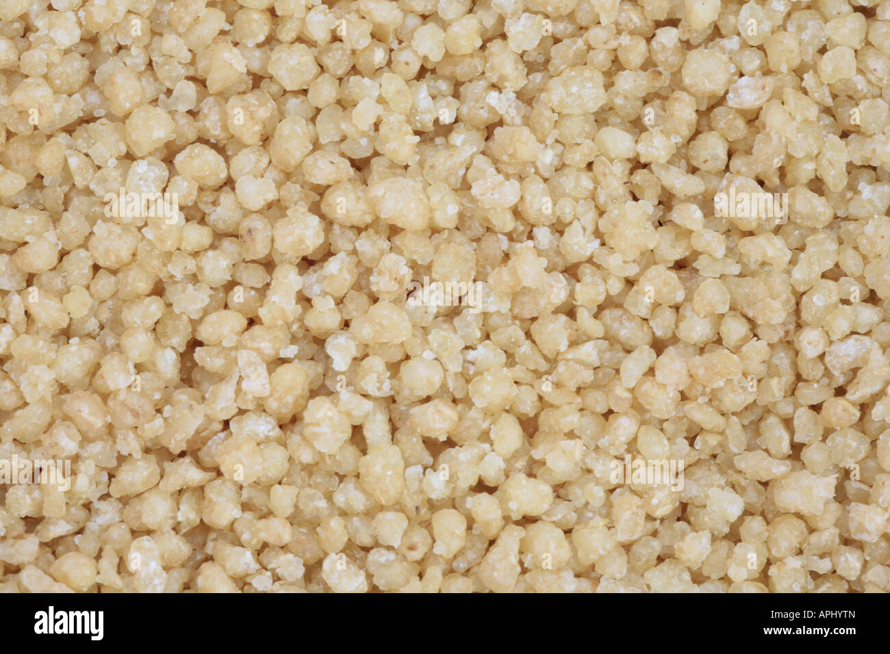 Durum Wheat Triticum turgidum ssp. durum Triticum durum Couscous grains
