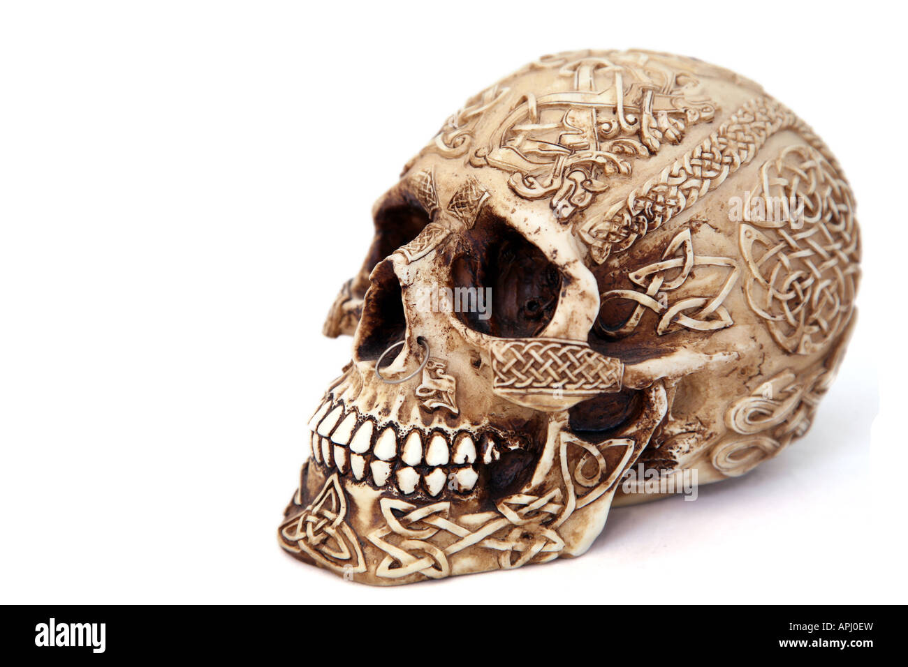 Celtic Skull viewed from frontside Stock Photo