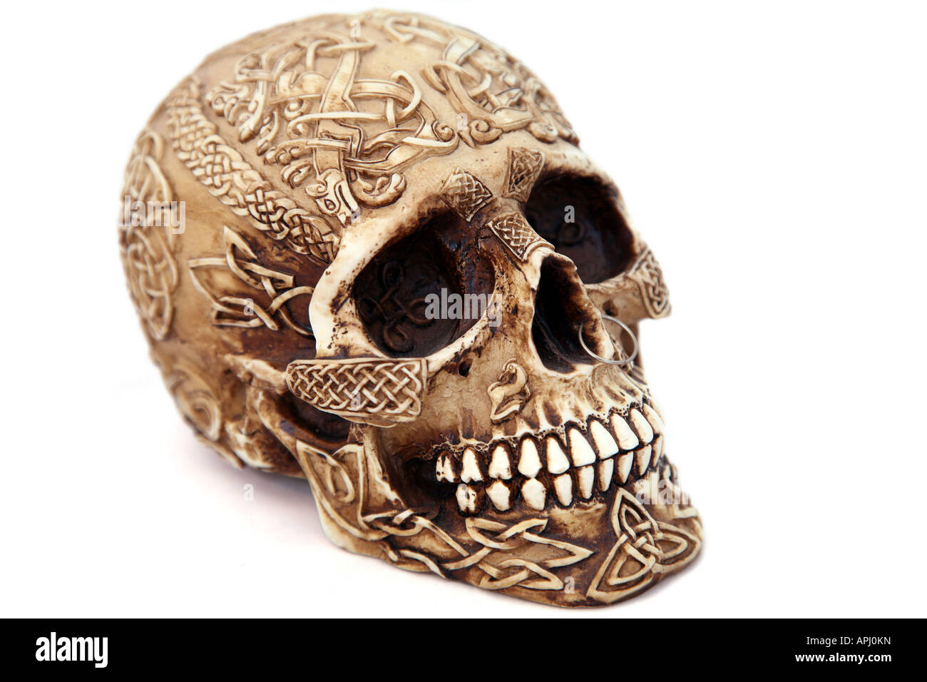 Celtic Skull viewed from front Stock Photo