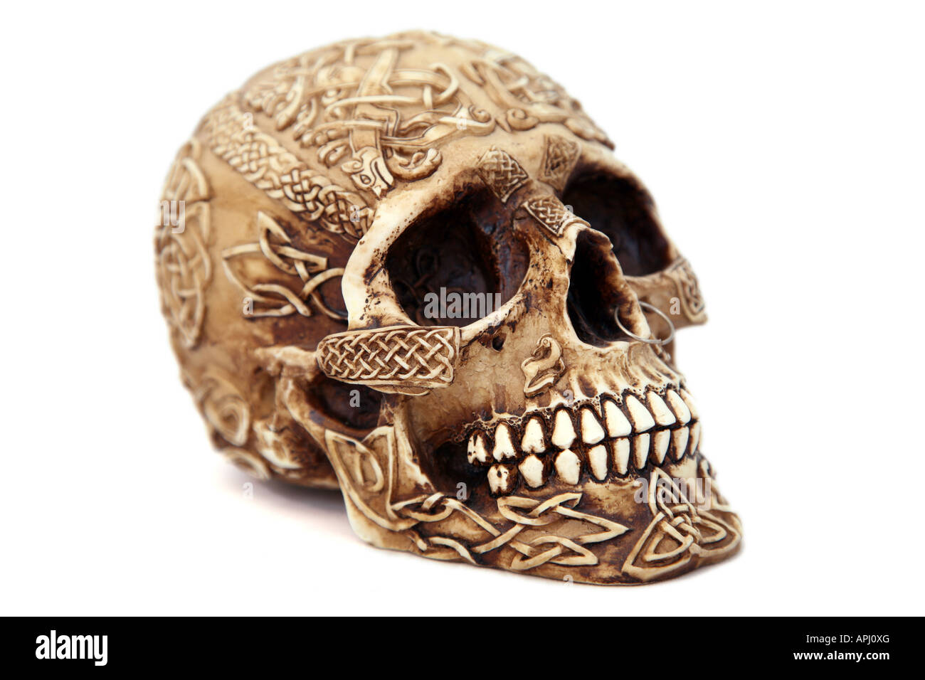 Human Skull made from resin Stock Photo