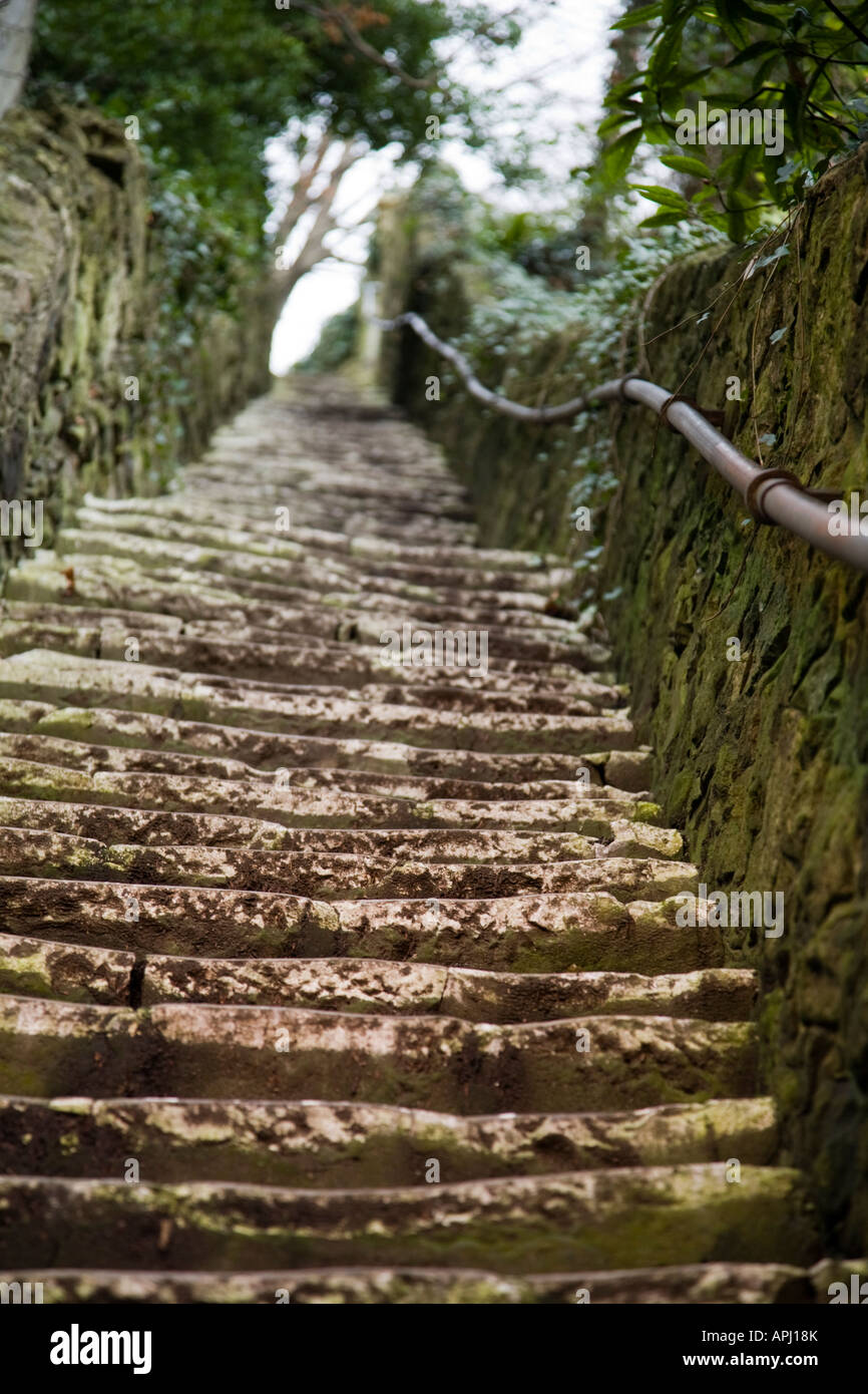 Steep steps carved into rockface, Bonchurch, Isle of Wight, UK Stock Photo  - Alamy