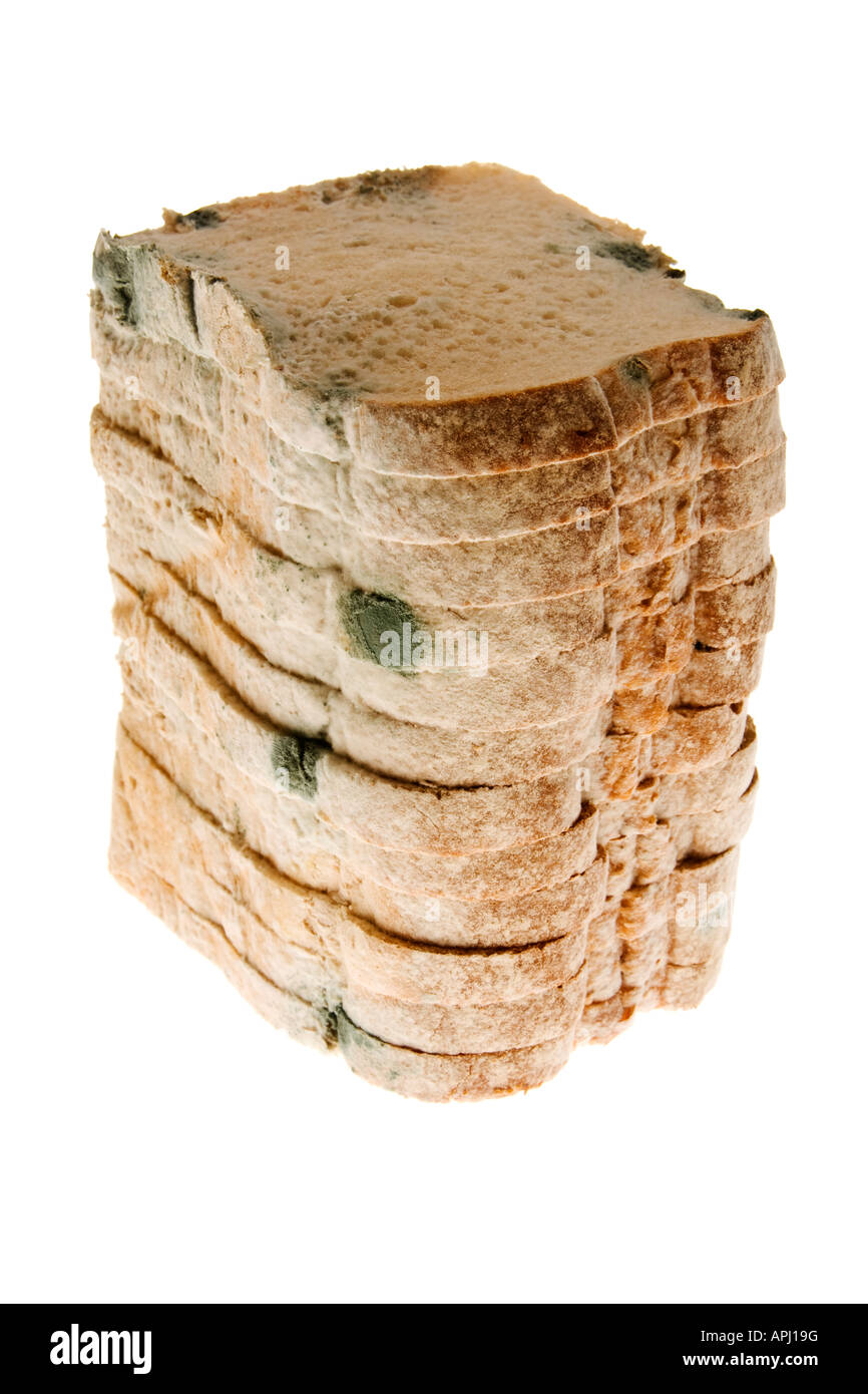 Mouldy bread Stock Photo - Alamy