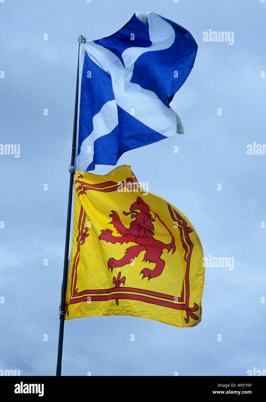 PACK OF 20 SCOTTISH FLAGS SERVIETTES/NAPKINS WITH SALTIRE AND LION RAMPANT FLAGS 