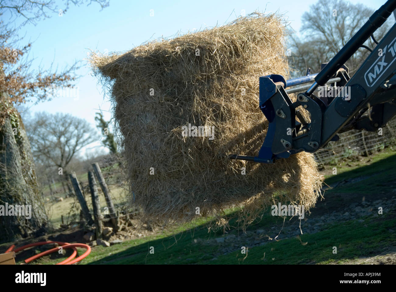 Stock Photo of a tractor carrying a bale of hay to feed the livestock in Winter The photo was taken in the Limousin region of Fr Stock Photo