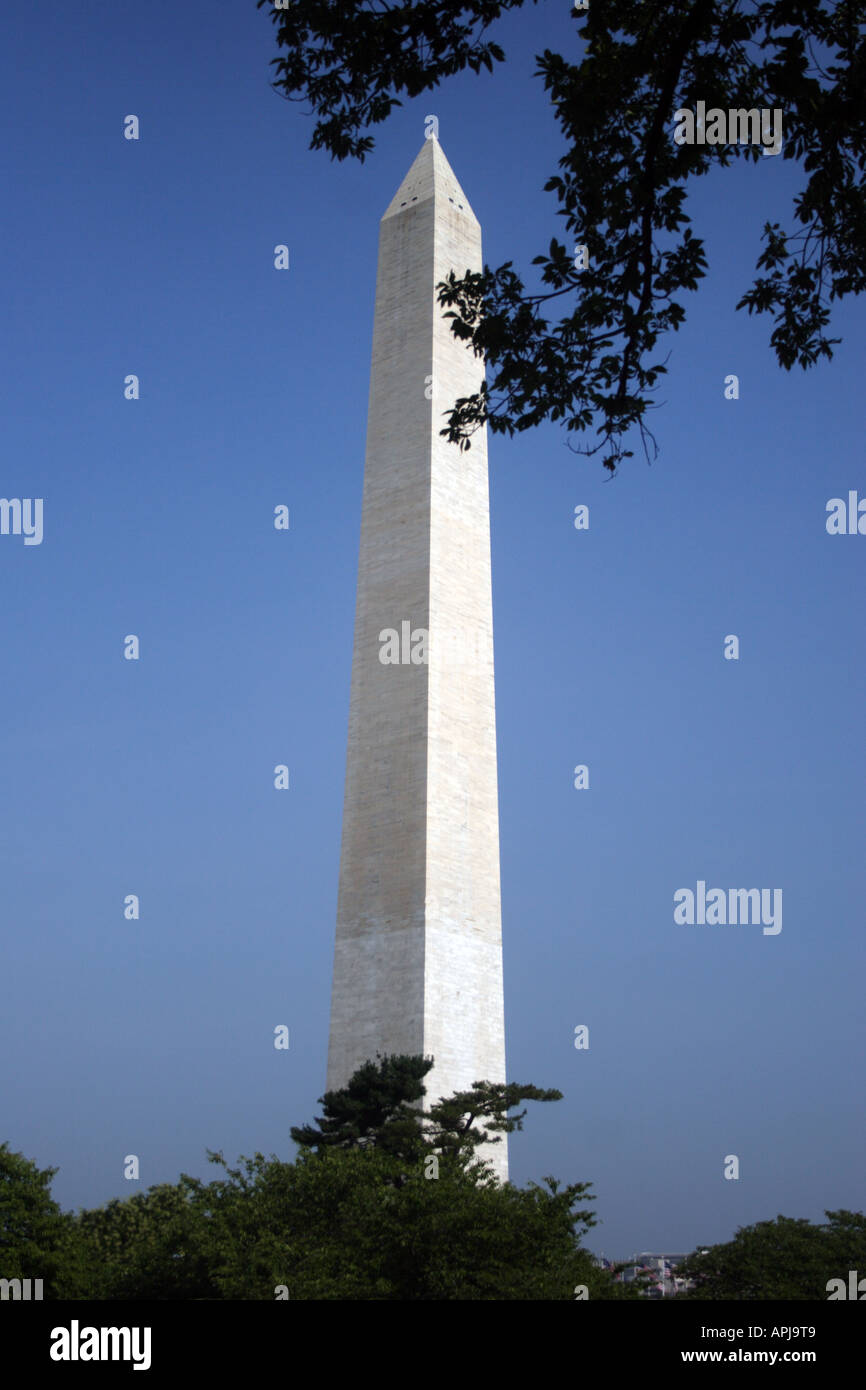 Washington monument in Washington, DC with Tree branches framing it against the clear blue