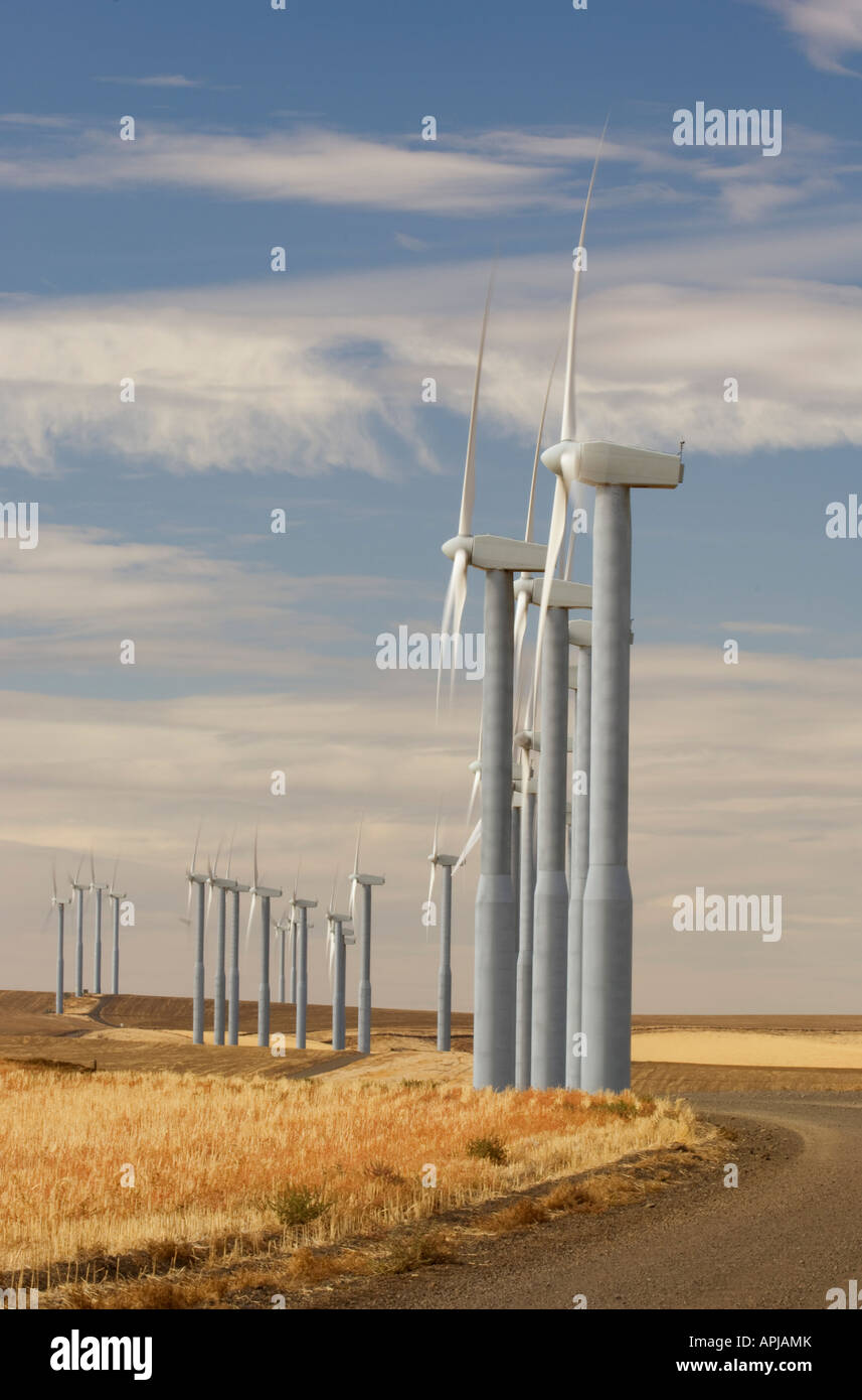 Clusters of wind turbines generate electricity as their propellers spin in the wind Stock Photo