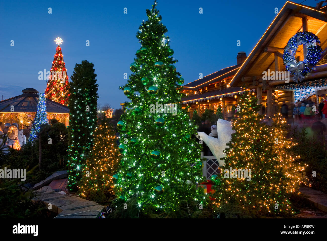 Christmas trees in LIDO Recreation Center in Riga, Latvia Stock Photo