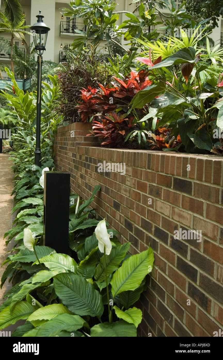 New Orleans style garden walkway Stock Photo - Alamy