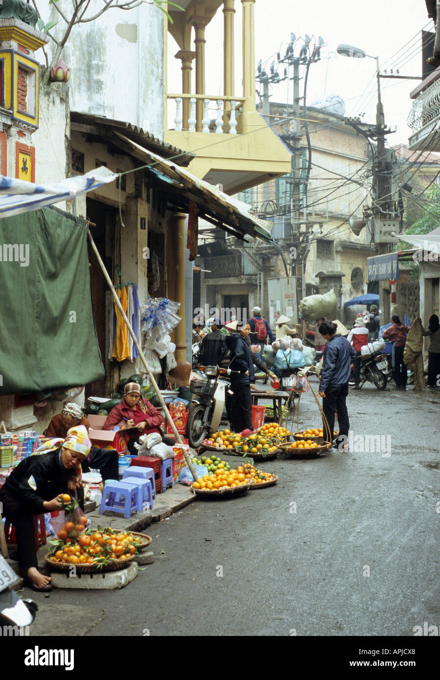 street hawkers stock x