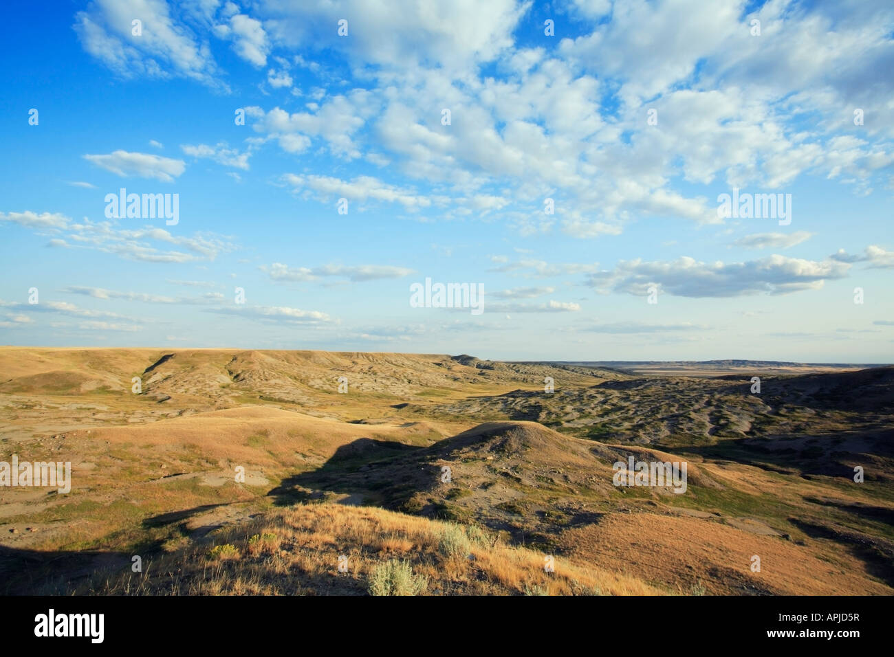 A series of coulees in the mixed grass prairie ecosystem in Grasslands National Park Saskatchewan Canada Stock Photo