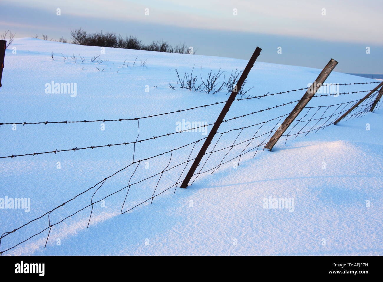 Winter landscape fence hi-res stock photography and images - Alamy