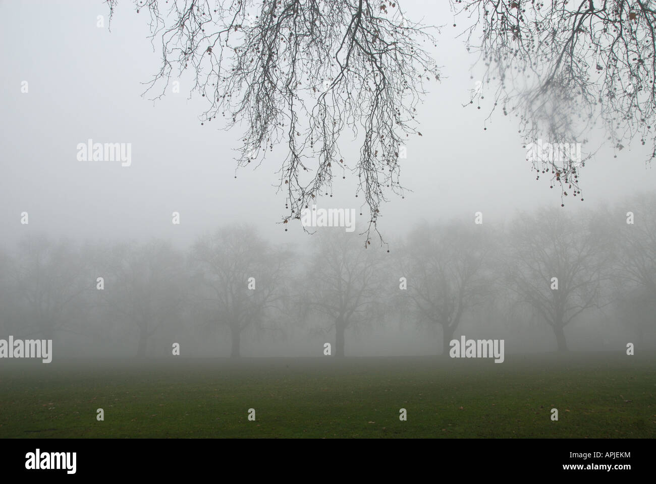 London Fields Hackney London UK Early morning mist Stock Photo