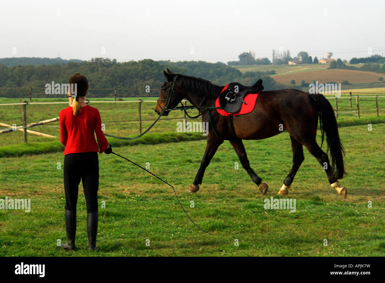 France, Southwest. Natalie lunging her horse Luquet Stock Photo