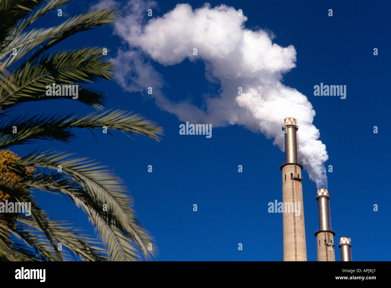 Power plant & palm tree Stock Photo - Alamy