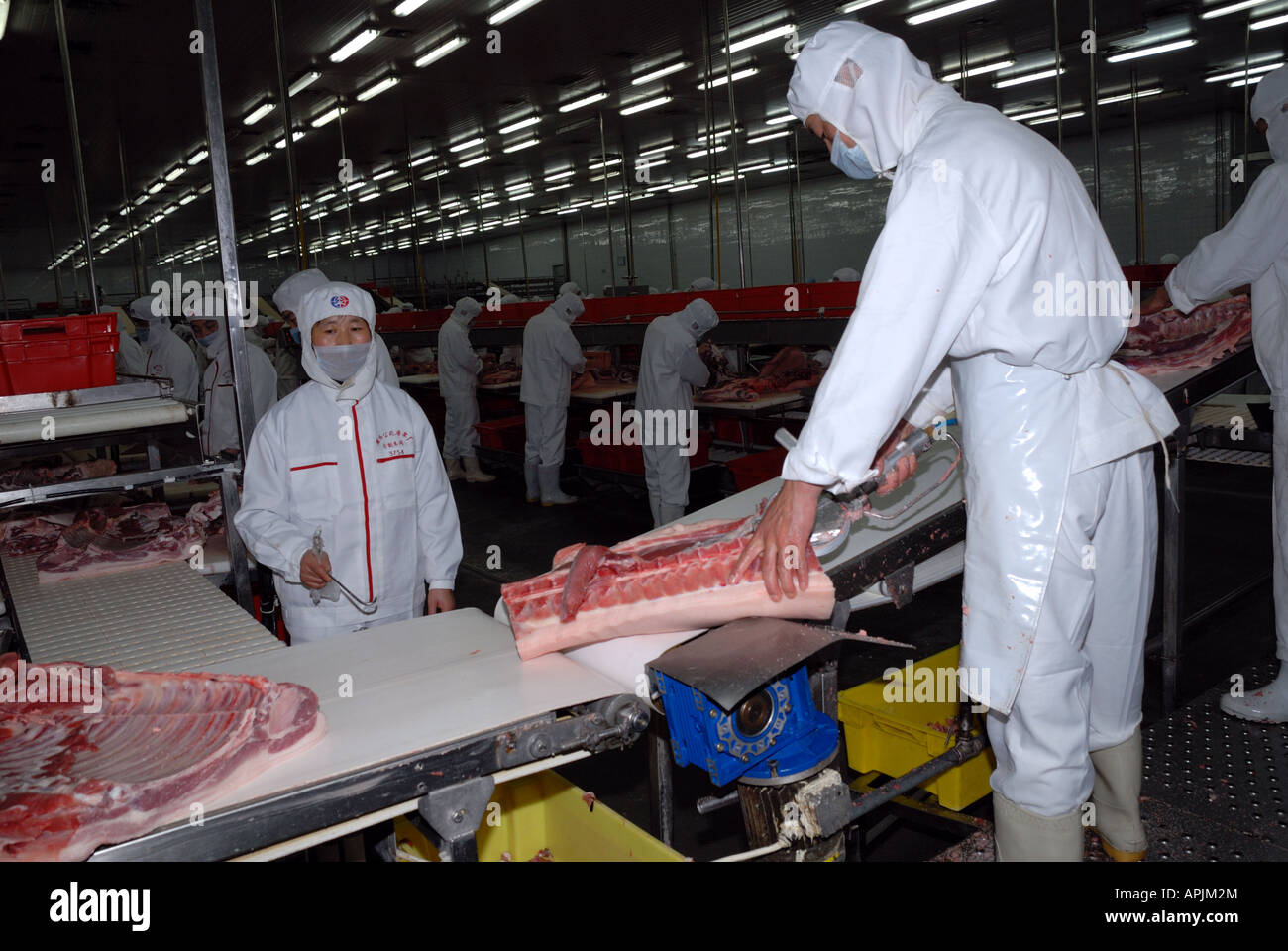 Shineway Shuanghui Industrial Group meat processing plant Pork production line Henan Province China Asia Stock Photo