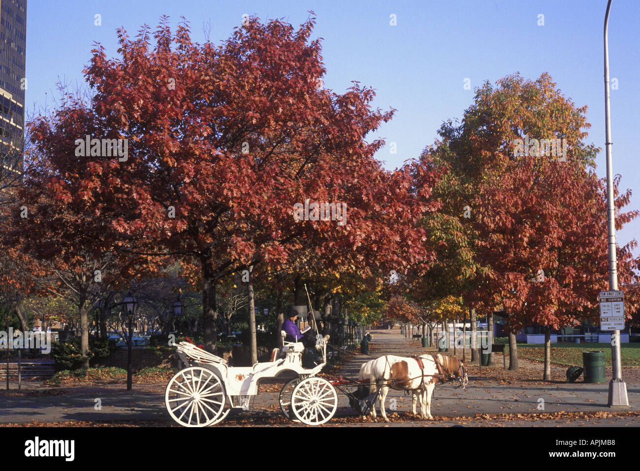 Philadelphia Horse drawn carriage in Independence National Historical Park in the autumn Stock Photo