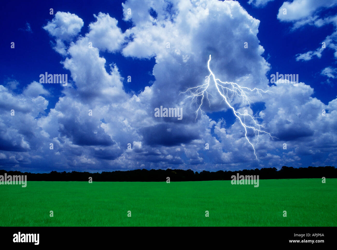 lightning streaks across stormy cloudy sky late afternoon in Florida Stock Photo