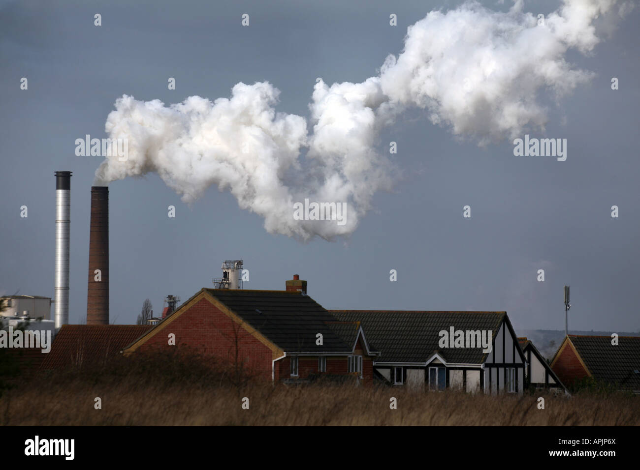 SUGAR BEET FACTORY IN BURY ST EDMUNDS HOME OF BRITISH SUGAR Stock Photo