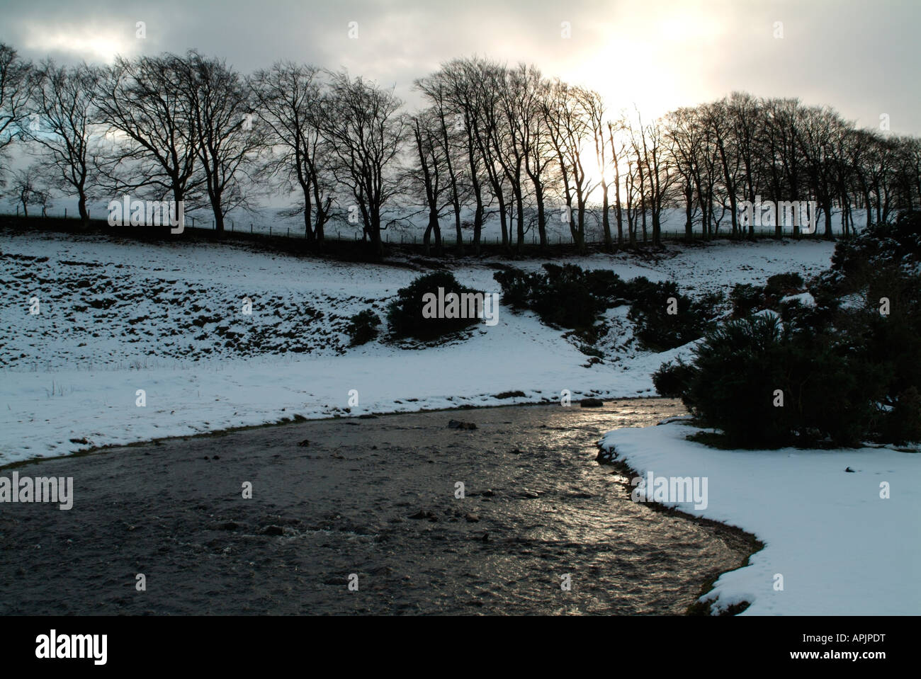 Freeze Burn High Resolution Stock Photography And Images Alamy