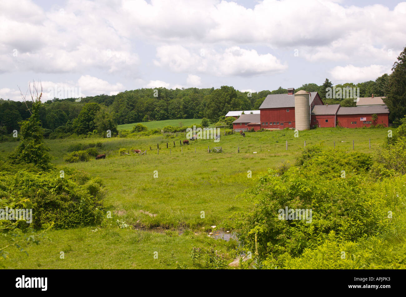 Farm Near Litchfield Connecticut Stock Photo Alamy