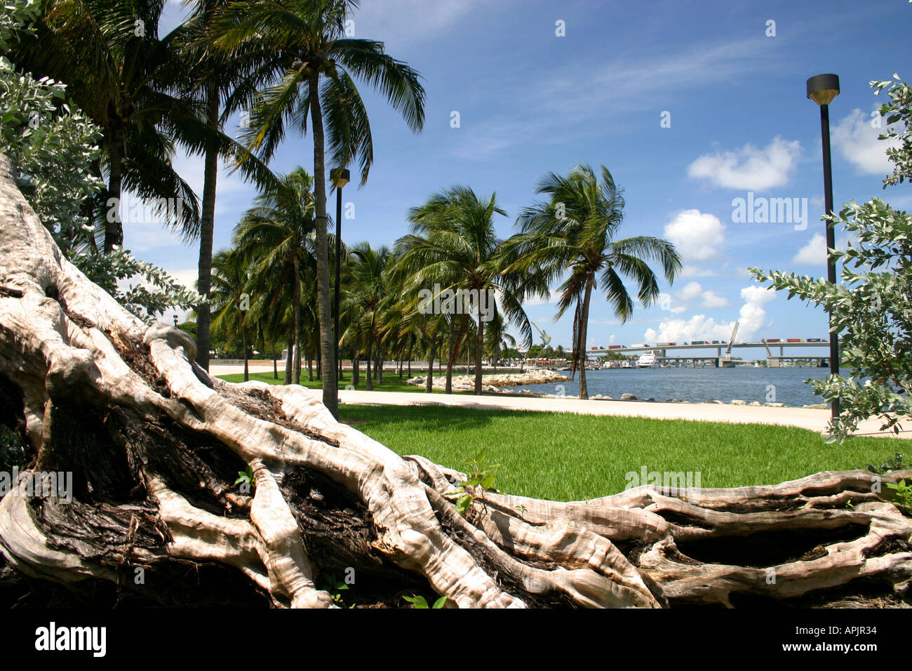 Overlooking the Port of Miami Downtown Bayside area Florida United States of America Stock Photo