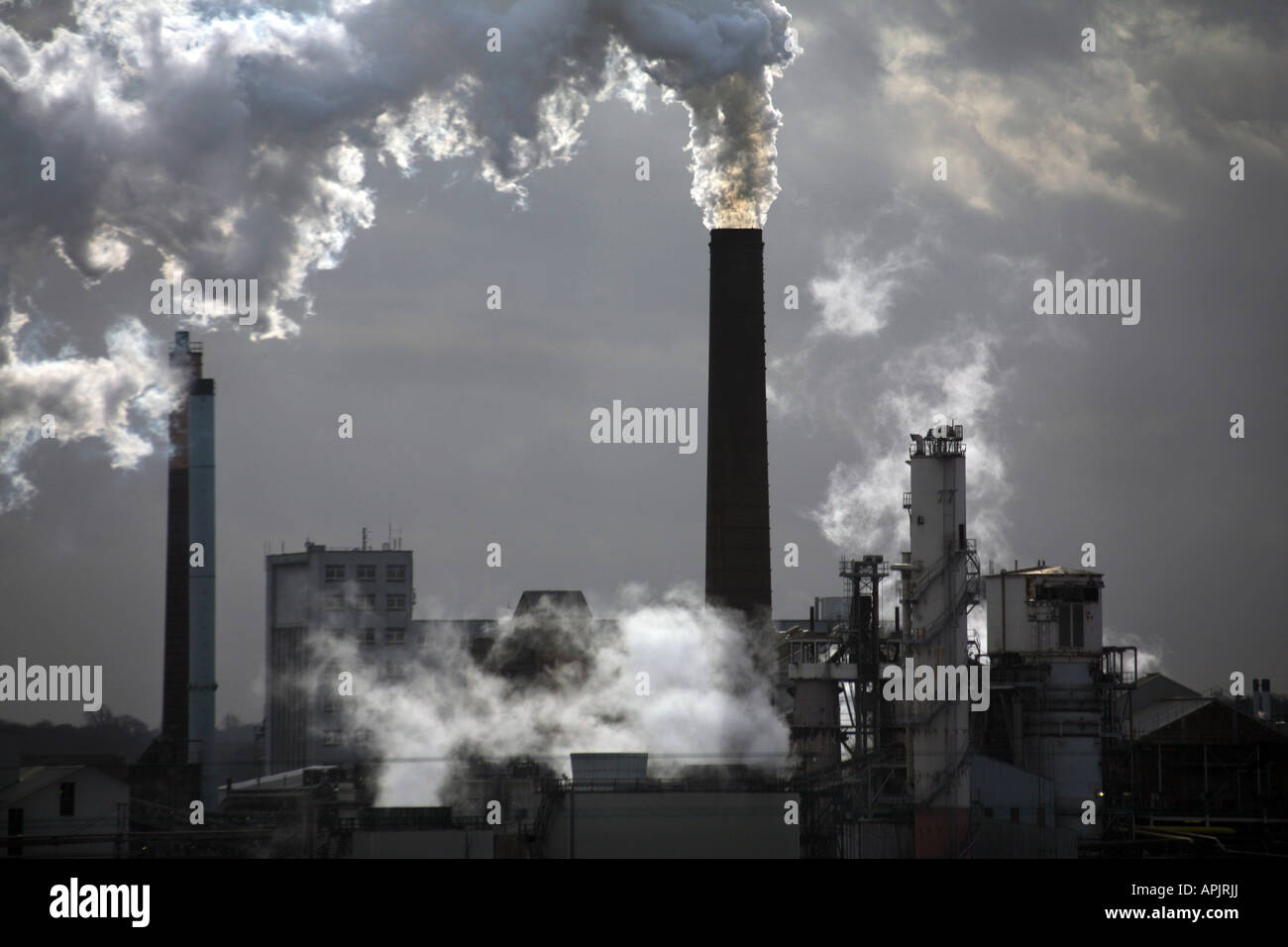 SUGAR BEET FACTORY IN BURY ST EDMUNDS HOME OF BRITISH SUGAR Stock Photo