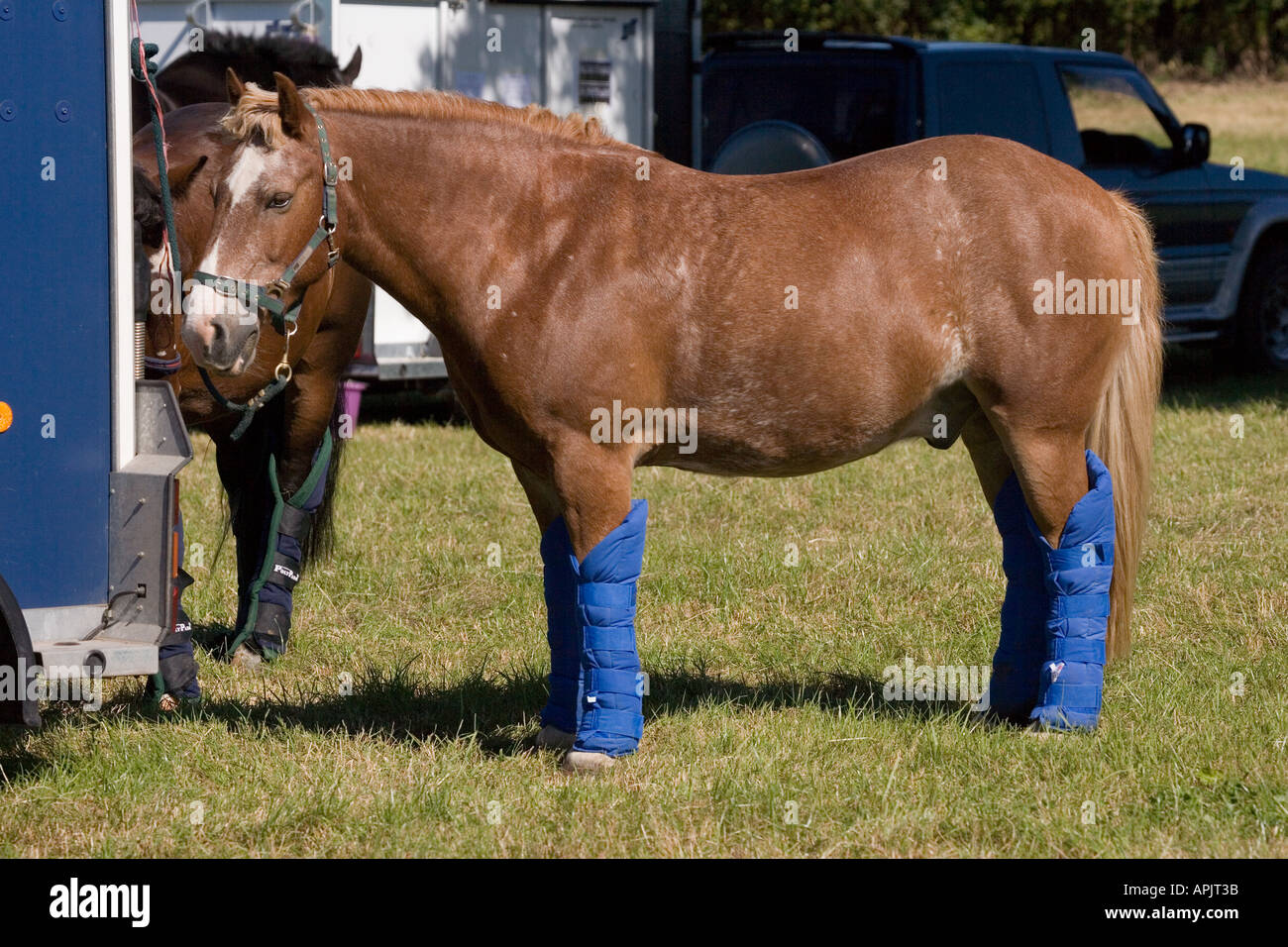 Leg warmers hires stock photography and images Alamy