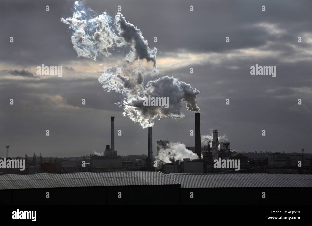 SUGAR BEET FACTORY IN BURY ST EDMUNDS HOME OF BRITISH SUGAR Stock Photo