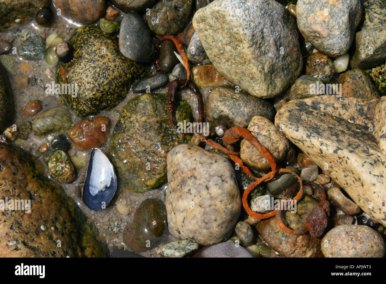 Rusty old chain on rocks at low tide. Stock Photo