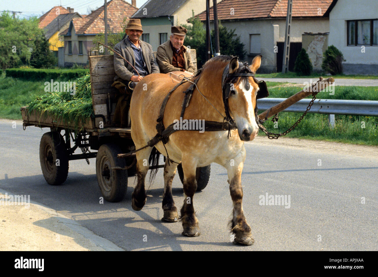 Horse and cart hires stock photography and images Alamy